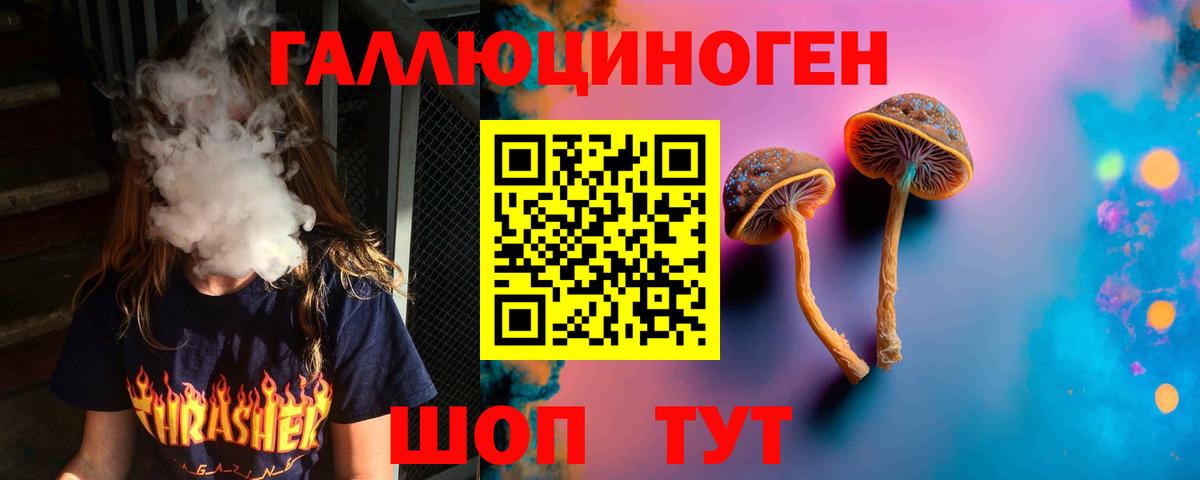 Галлюциногенные грибы Psilocybine cubensis Горячий Ключ